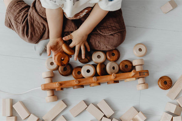 Timber Treasures: The Timeless Charm of Wooden Toys