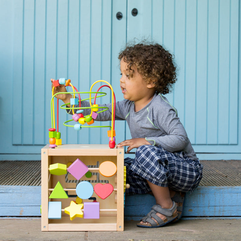 Classic World Multi-Activity Cube